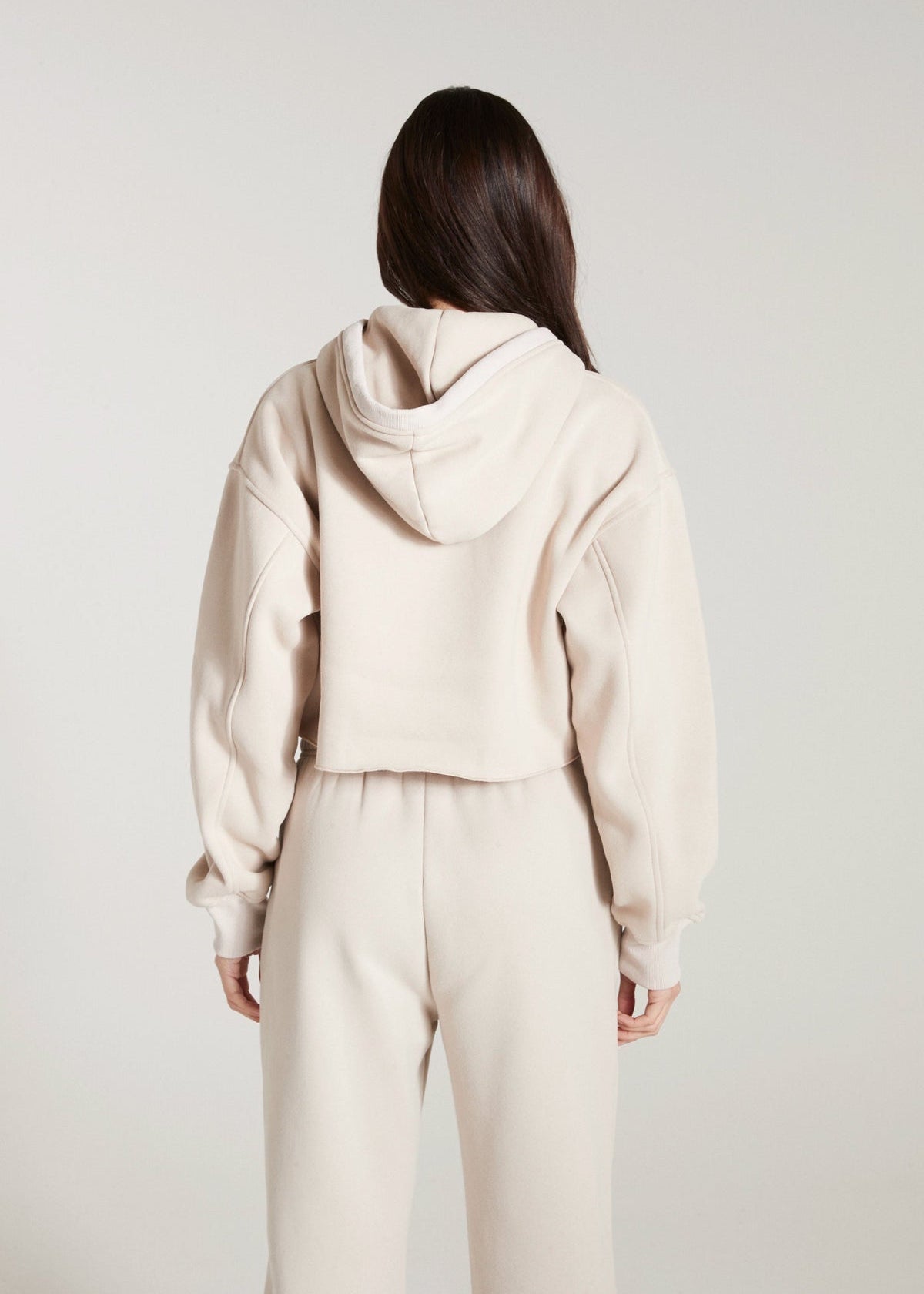 ALL FENIX- CIRCUIT CROP HOODIE